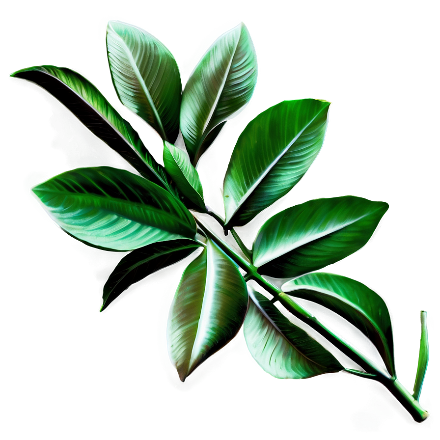 Nature Inspired Laurel Png 35