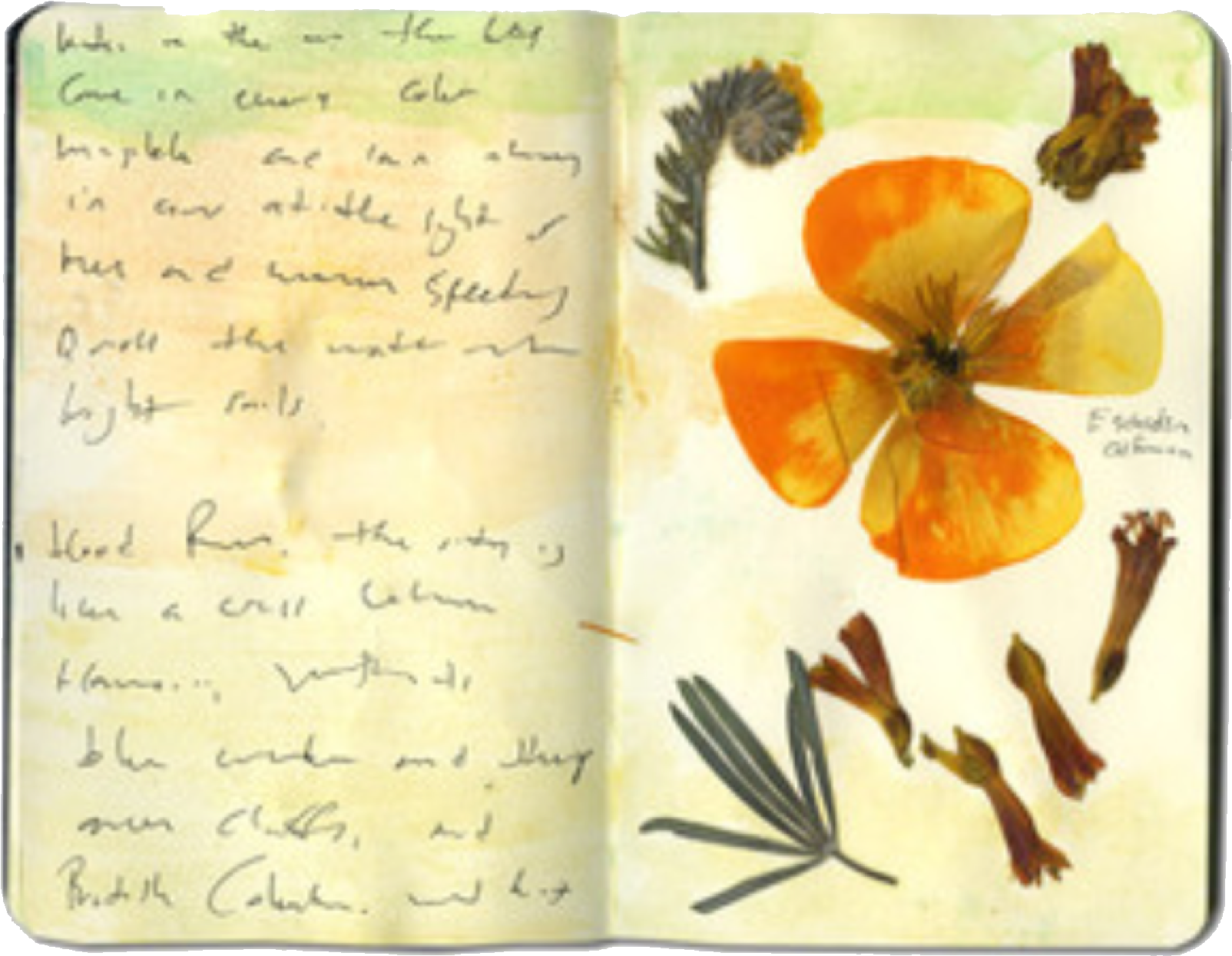 Nature Journal Page With Pressed Flower