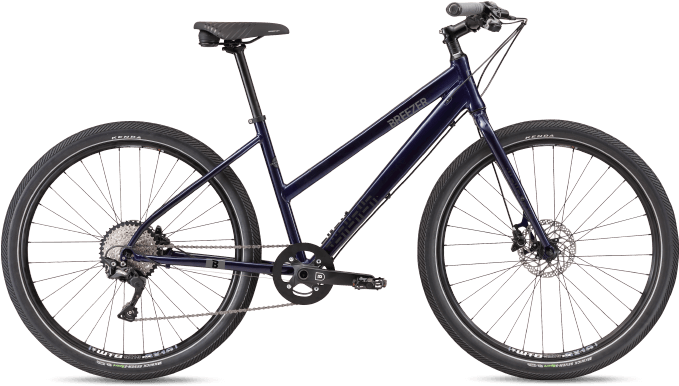 Navy Blue Mountain Bike Profile