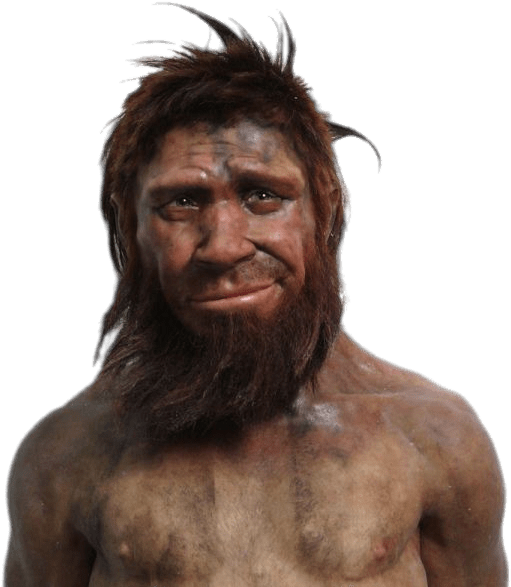 Neanderthal Man Portrait