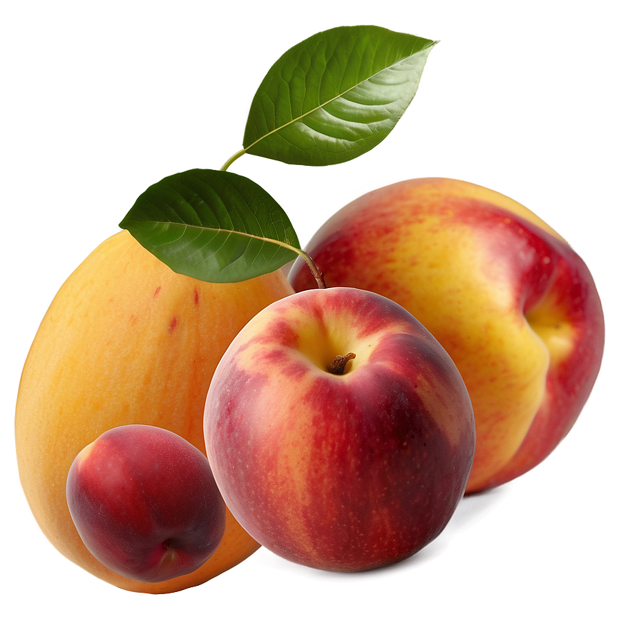 Nectarine And Peach Png Hbi