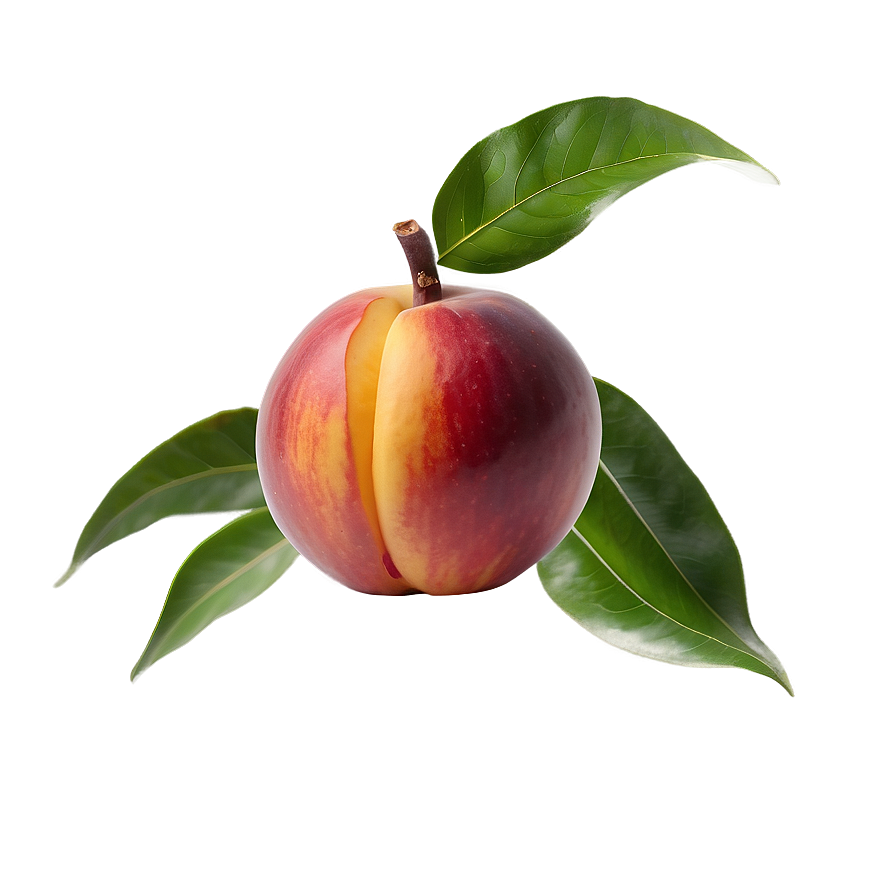 Nectarine C