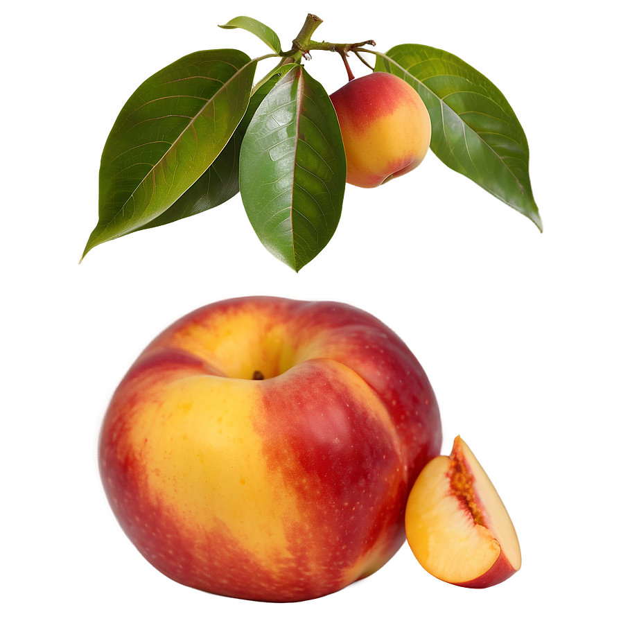 Nectarine Color Png Rrj