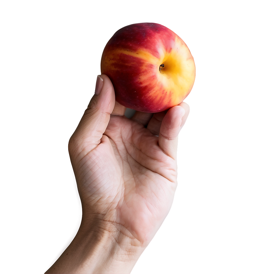 Nectarine In Hand Png Dvh