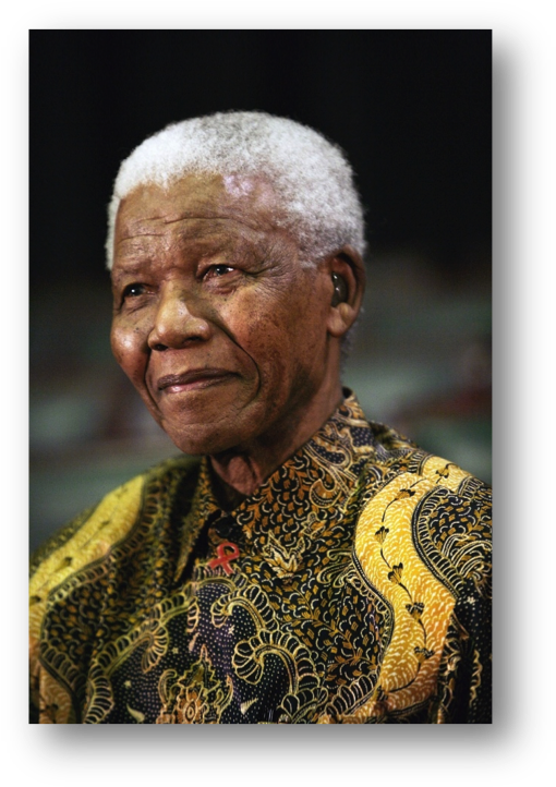 Nelson Mandela Portrait