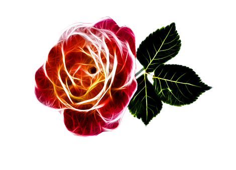 Neon Glow Rose Art