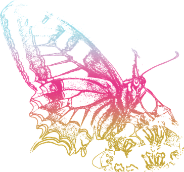 Neon Outlined Butterfly