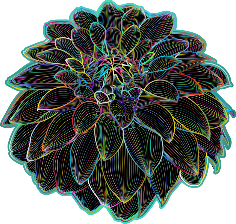 Neon Outlined Chrysanthemum Flower