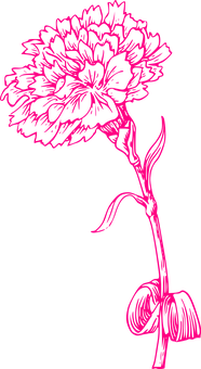 Neon Pink Flower Sketch