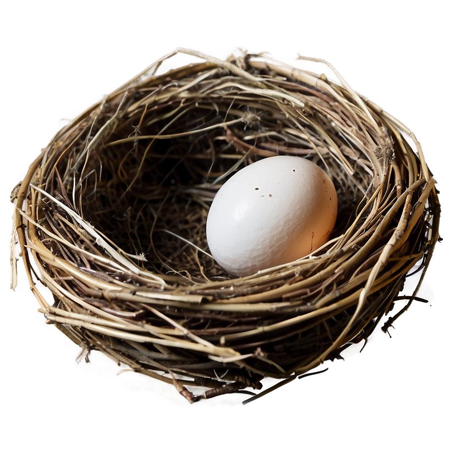 Nest Egg Png Les