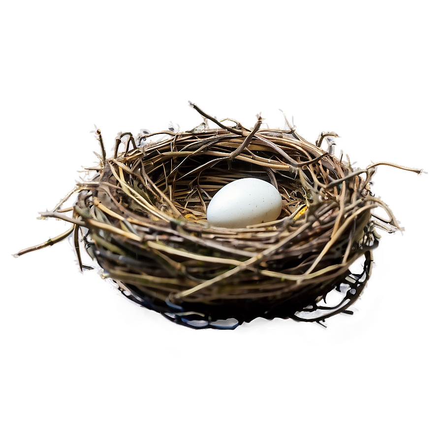 Nest In Autumn Png 05252024