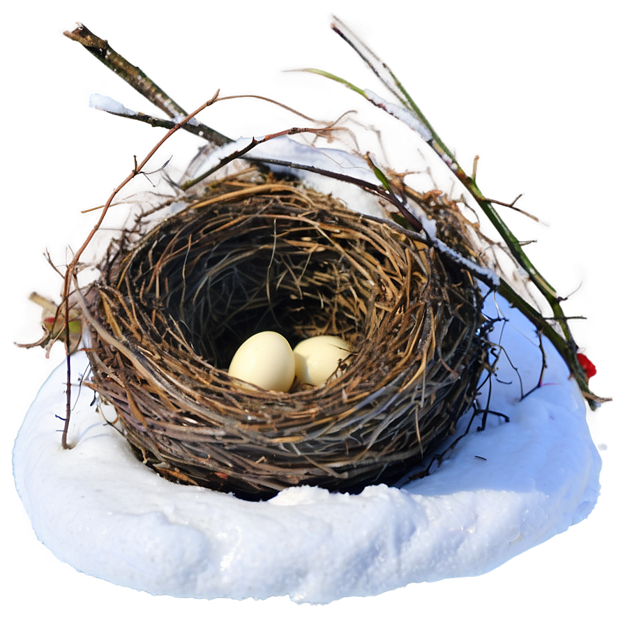 Nest In Snow Png 20