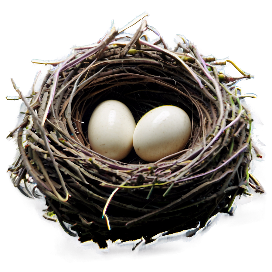 Nest On Ground Png Uxv