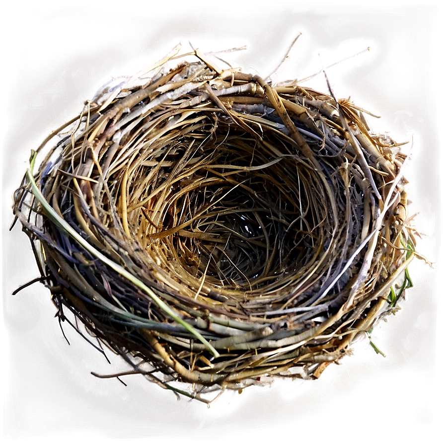 Nest On Ground Png Wjr