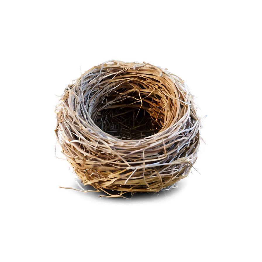 Nest Outline Png Vcl