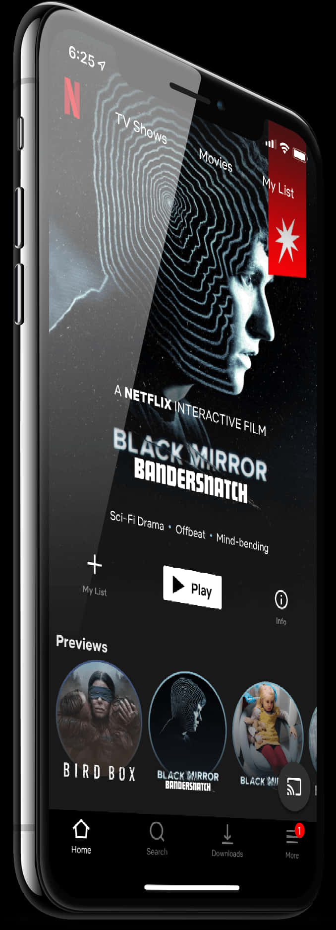 Netflix Black Mirror Bandersnatch Mobile Display