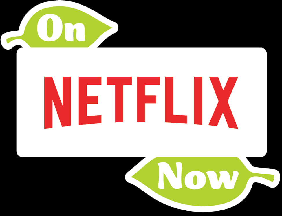 Netflix Streaming Service Promotion