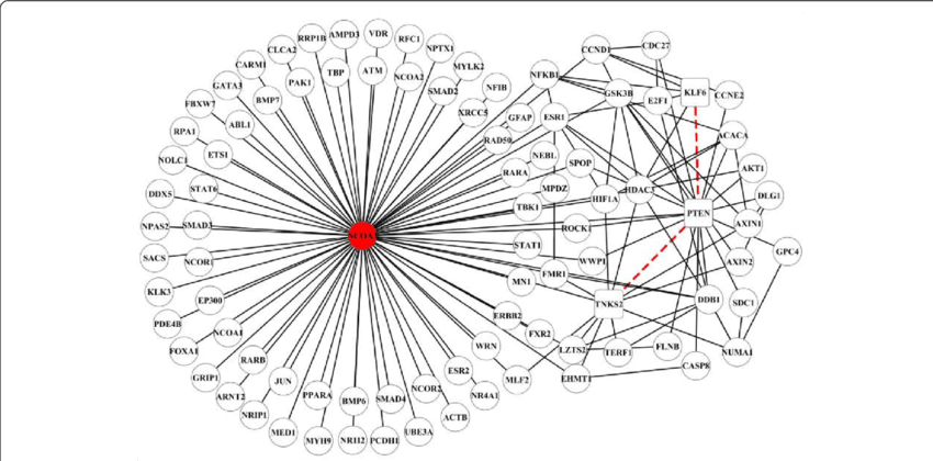 Network Analysis Graph