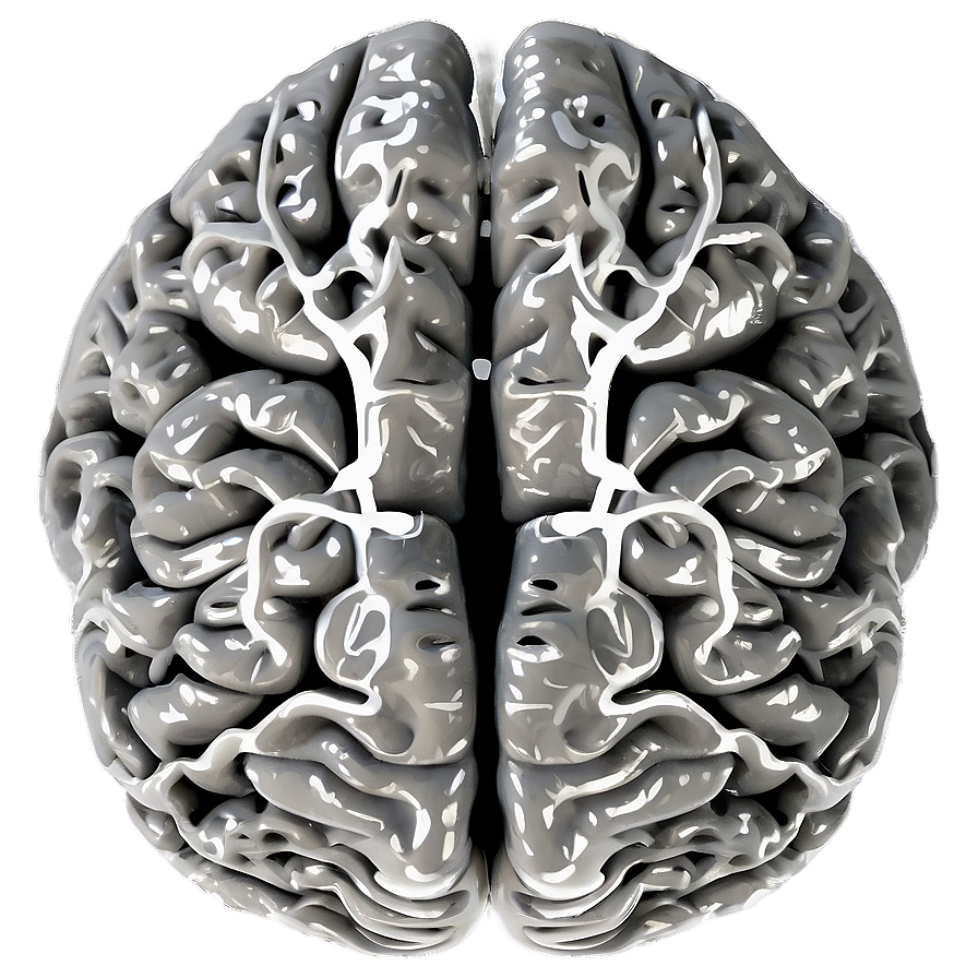 Neurology Brain Outline Png Vaq