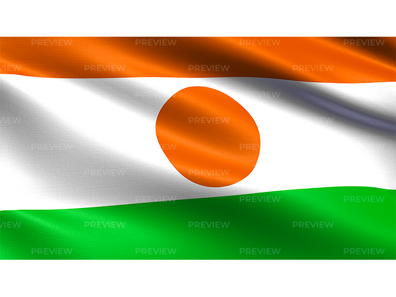 Niger Flag Waving