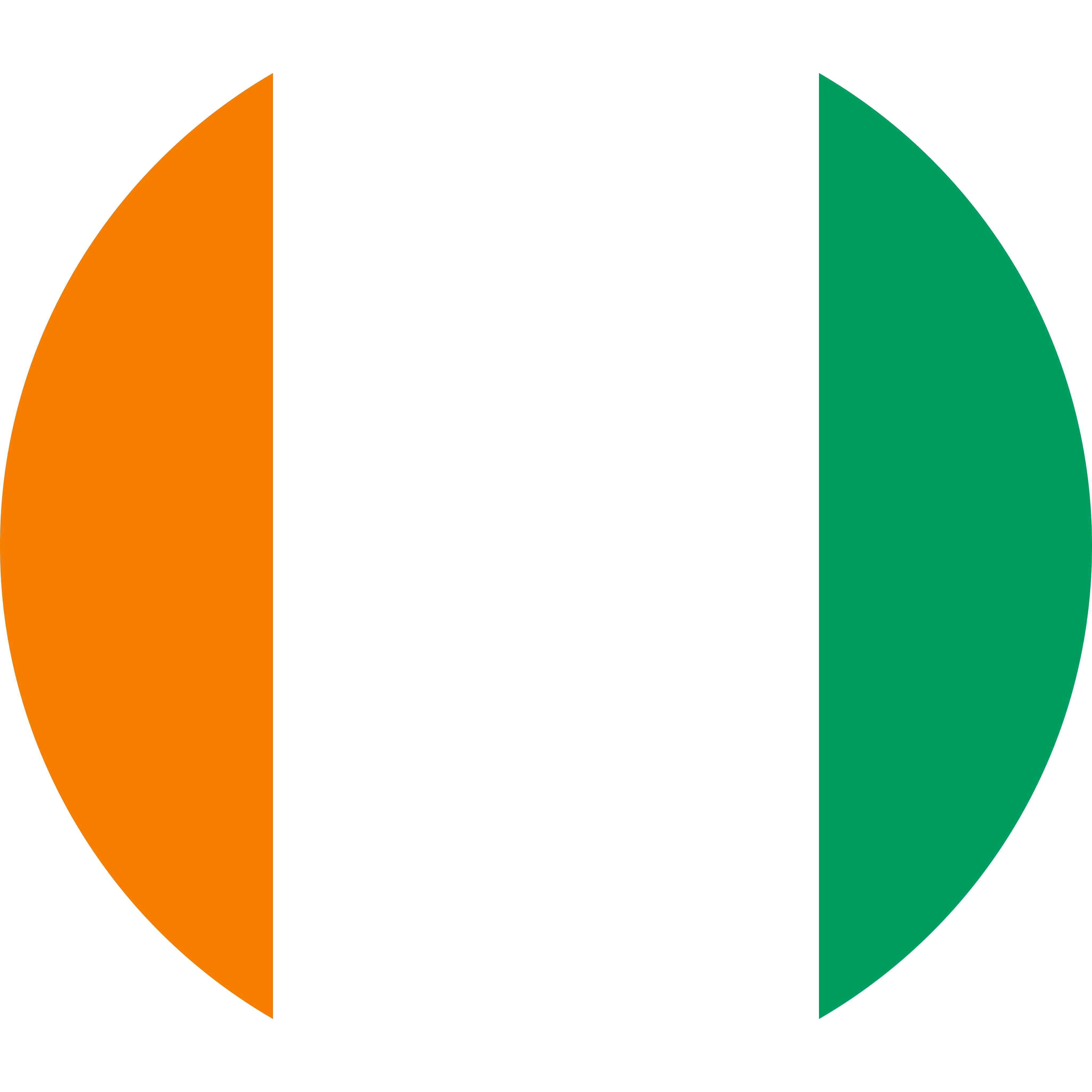 Niger National Flag