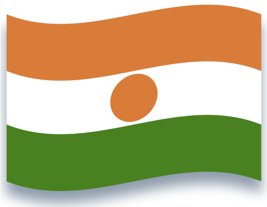 Niger National Flag Waving