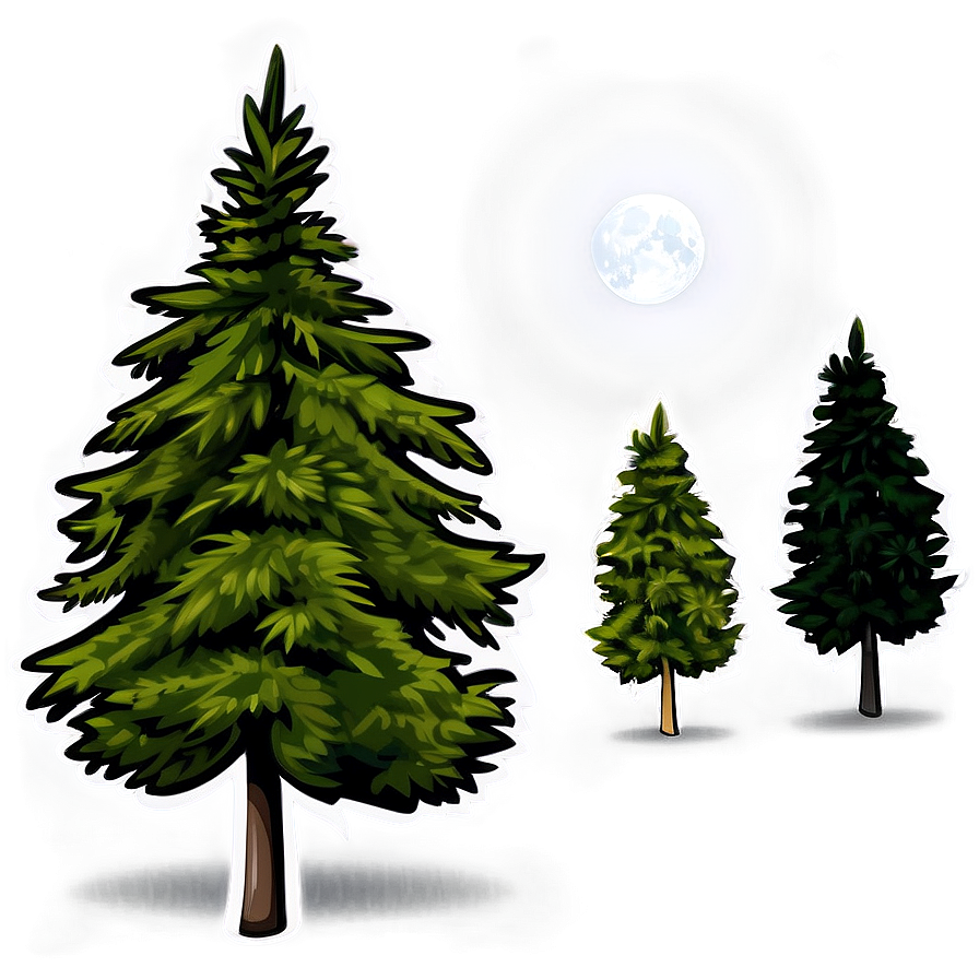 Nighttime Spruce Tree Scene Png 97