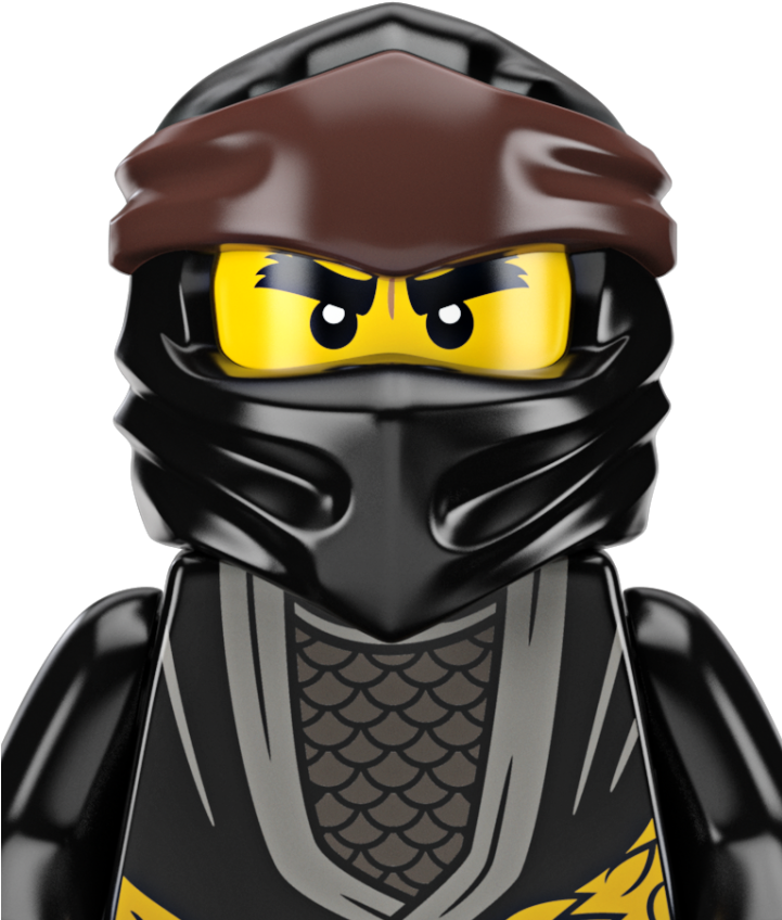 Ninjago Black Ninja Close Up