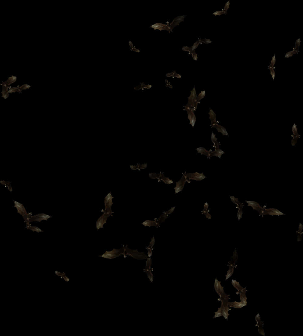 Nocturnal_ Bat_ Flight_ Formation