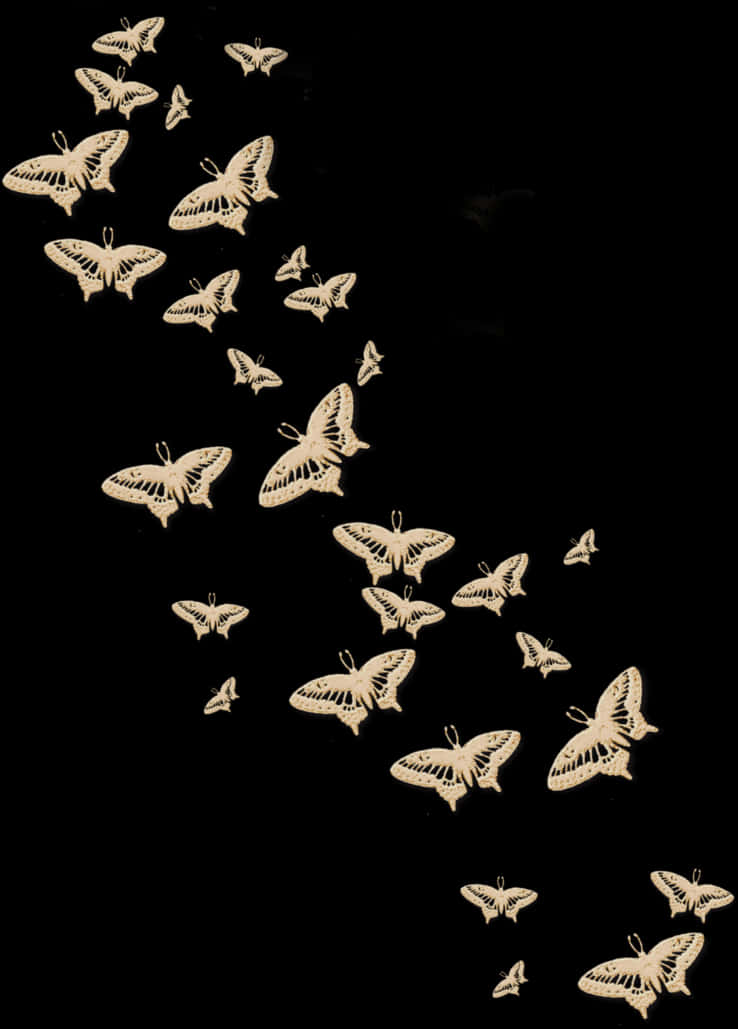 Nocturnal Butterfly Flight Pattern