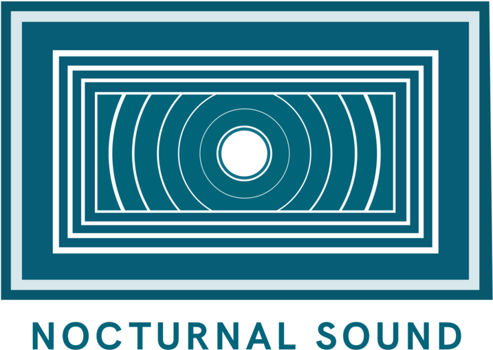 Nocturnal Sound Abstract Art