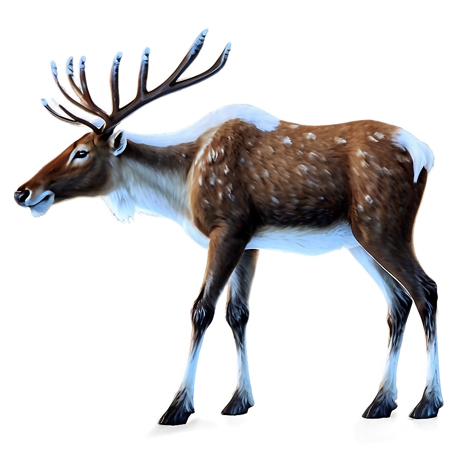 Nordic Reindeer Png Jqo