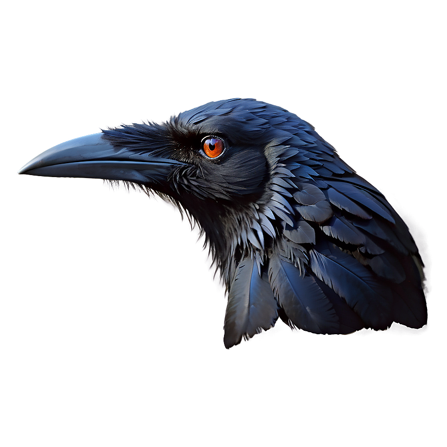 Norse Raven Png 05062024