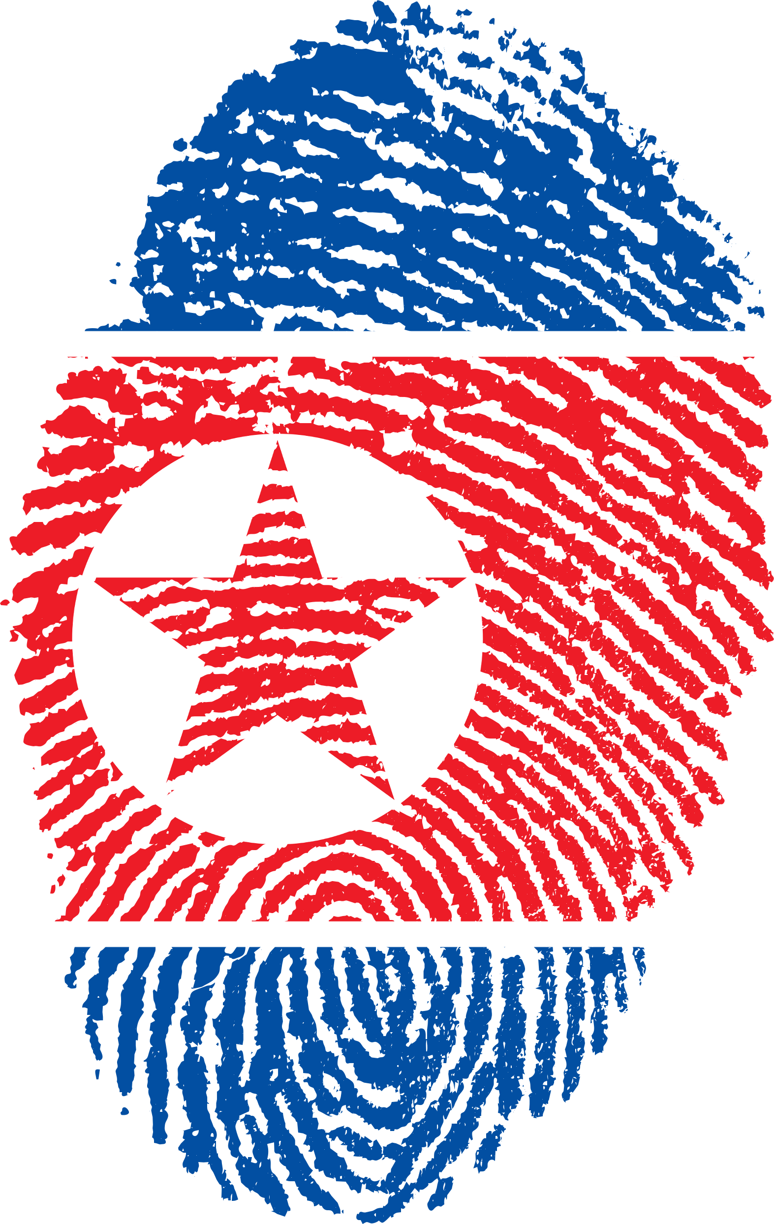 North Korean Flag Fingerprint