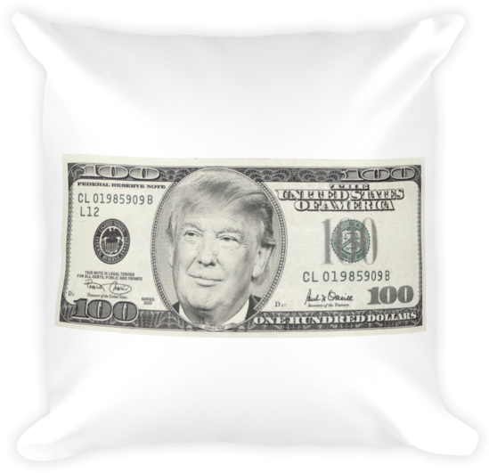 Novelty100 Dollar Bill Cushion Design