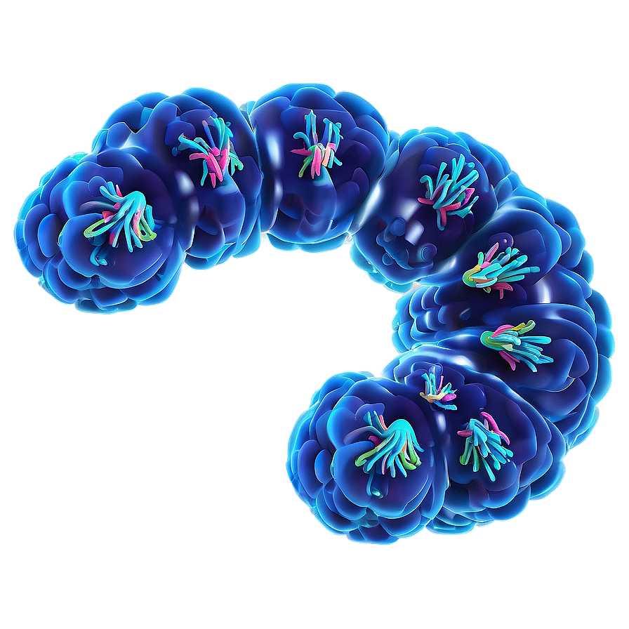 Nucleus With Chromosomes Png Uyd