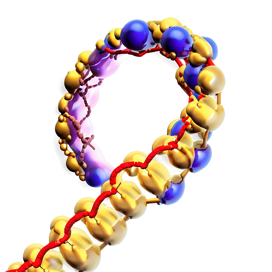 Nucleus With Dna Png Nkj86