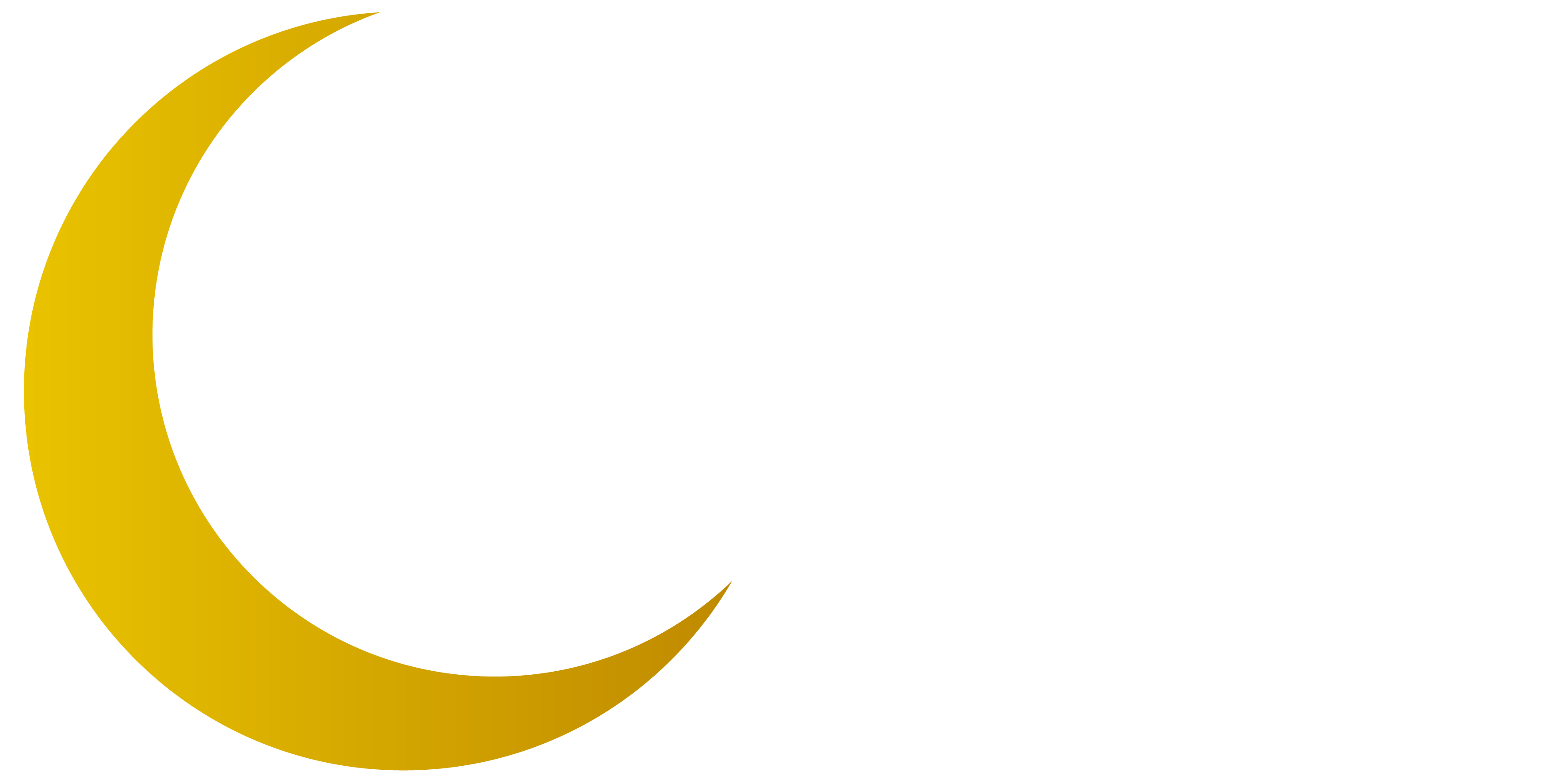 Nur Ul Islam Social Service Organization Logo