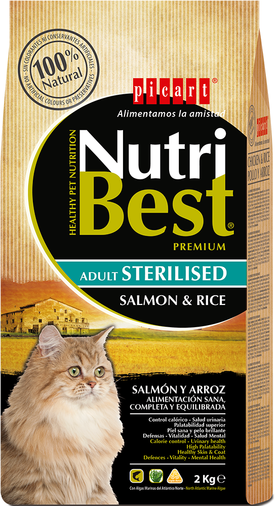 Nutri Best Cat Food Salmon Rice