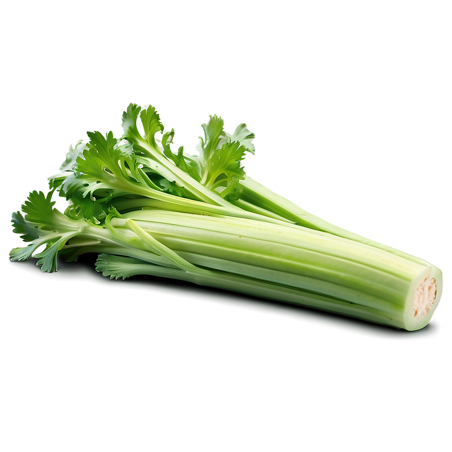 Nutritious Celery Png 14