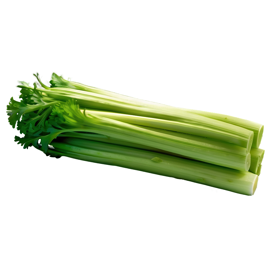 Nutritious Celery Png 68