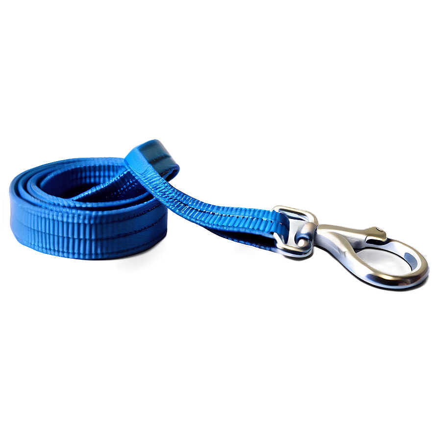 Nylon Dog Leash Png 06132024