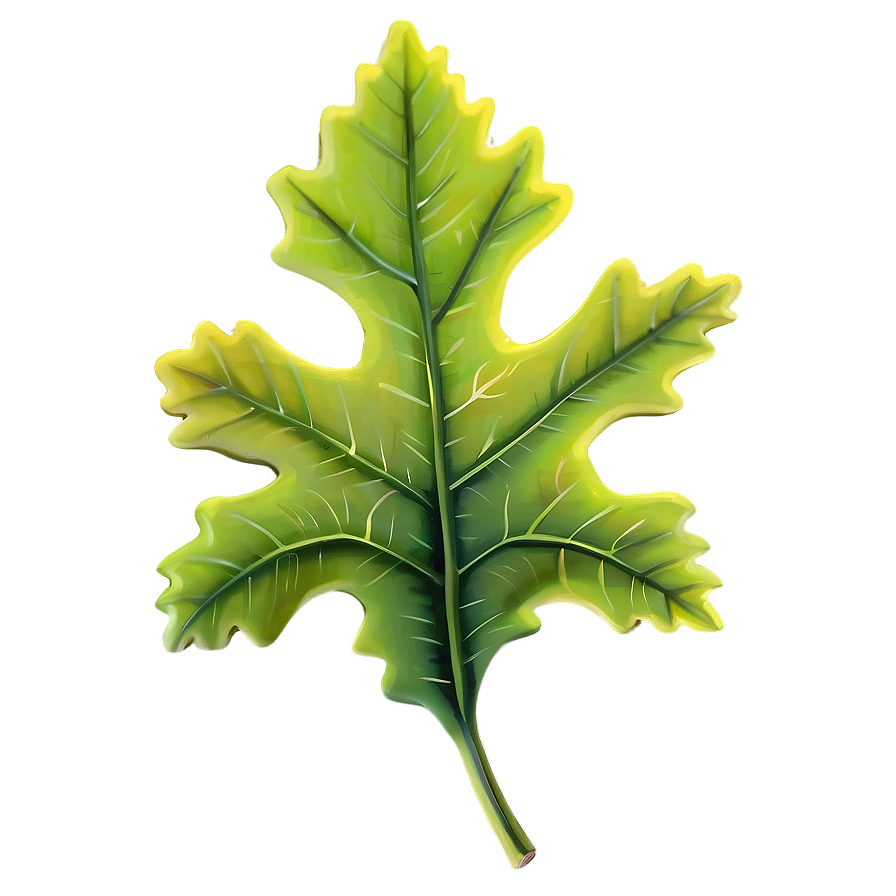 Oak Leaf B