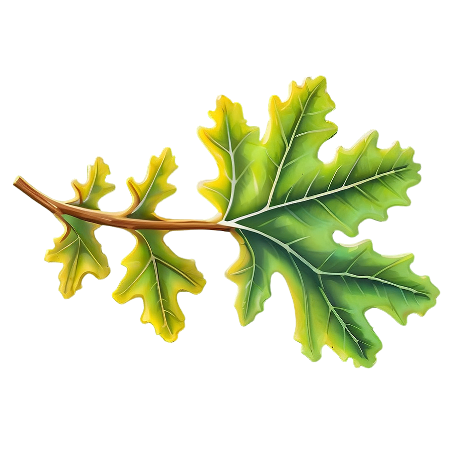 Oak Leaf Png 22