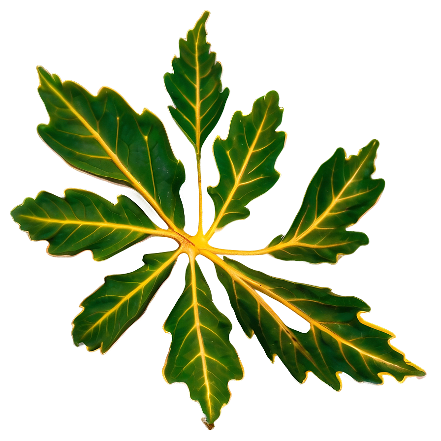 Oak Leaf Veins Png Qyc68