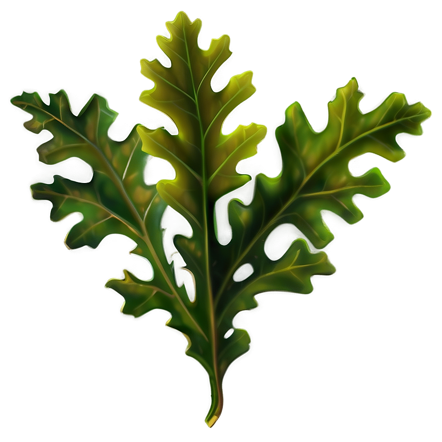 Oak Leaves Png Skk