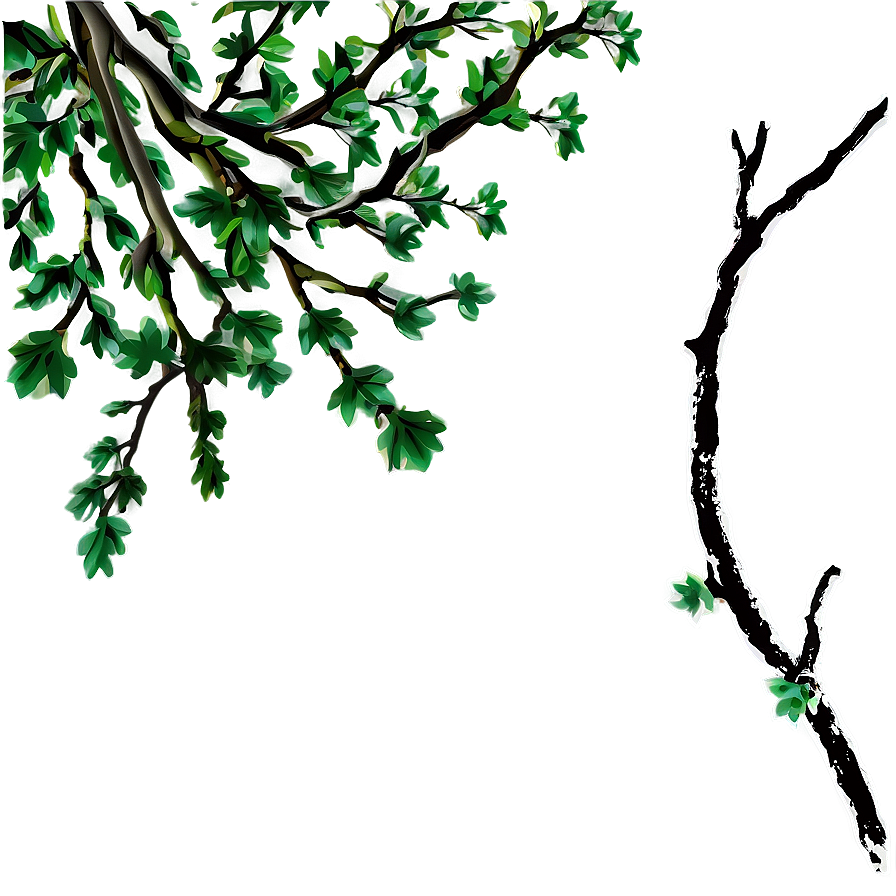 Oak Tree Branches Png 53