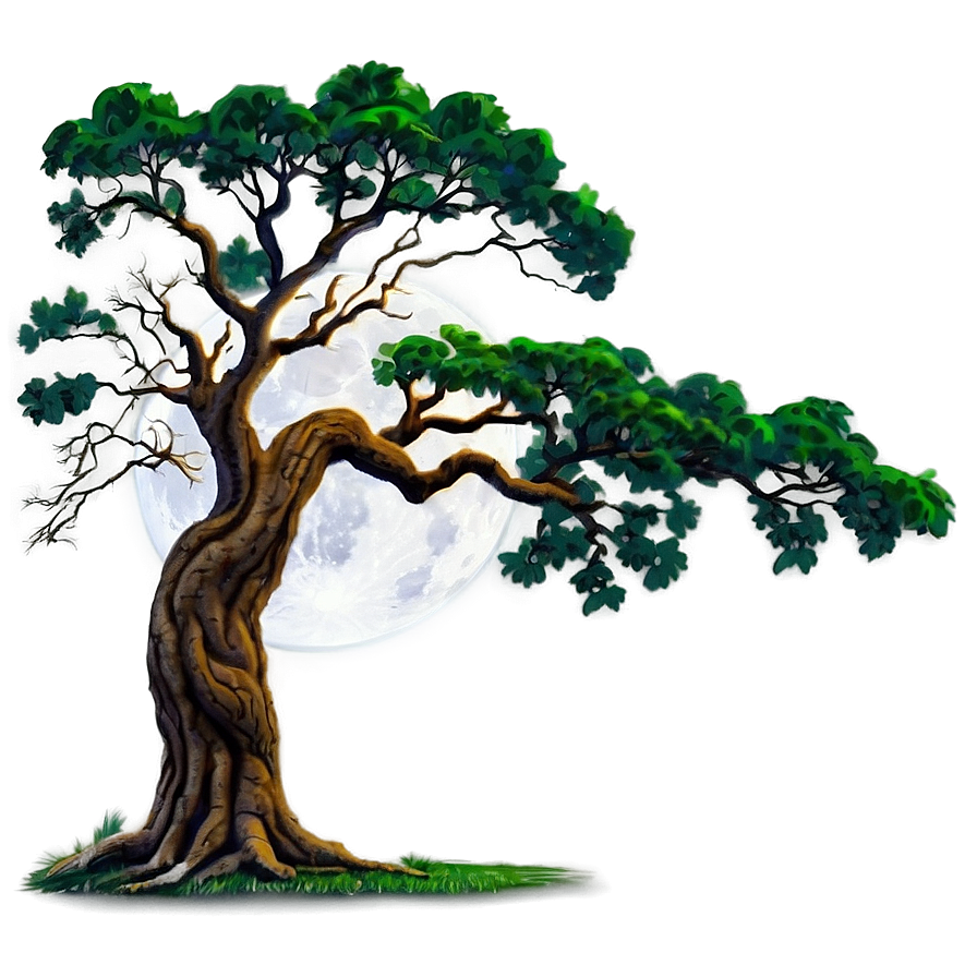 Oak Tree Moonlight Png Lvd