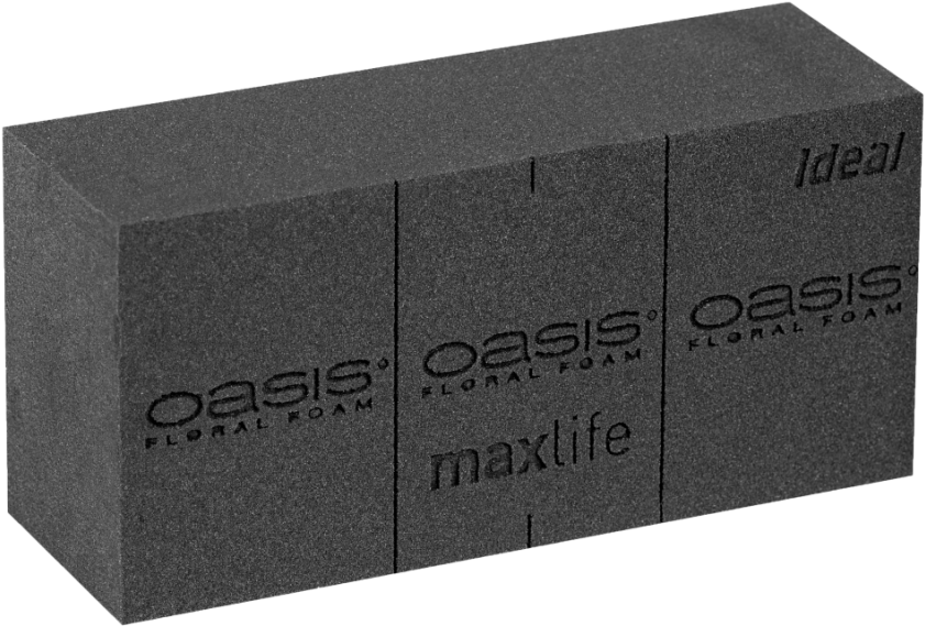 Oasis Floral Foam Bricks