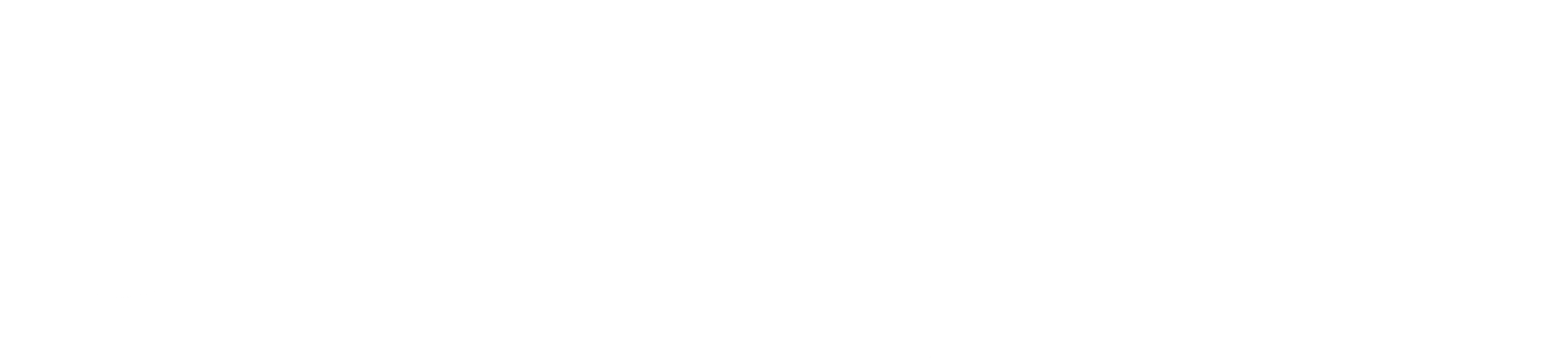 Oasis Loss Modelling Framework Logo